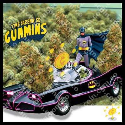 Ganyas in the Adventure Car